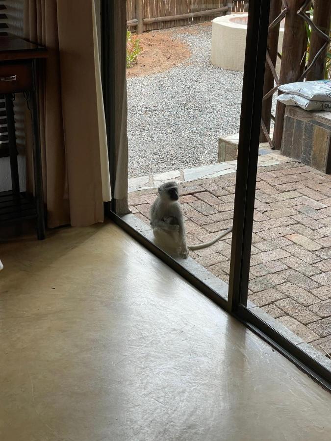 The Cheetah Rest Villa Hoedspruit Exterior foto