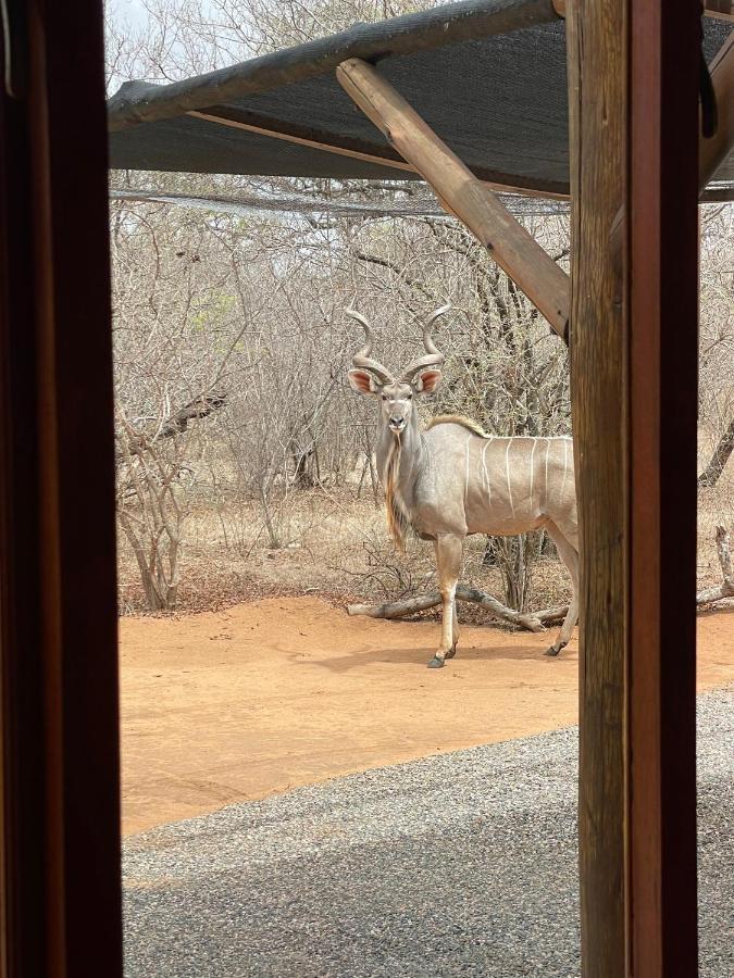 The Cheetah Rest Villa Hoedspruit Exterior foto